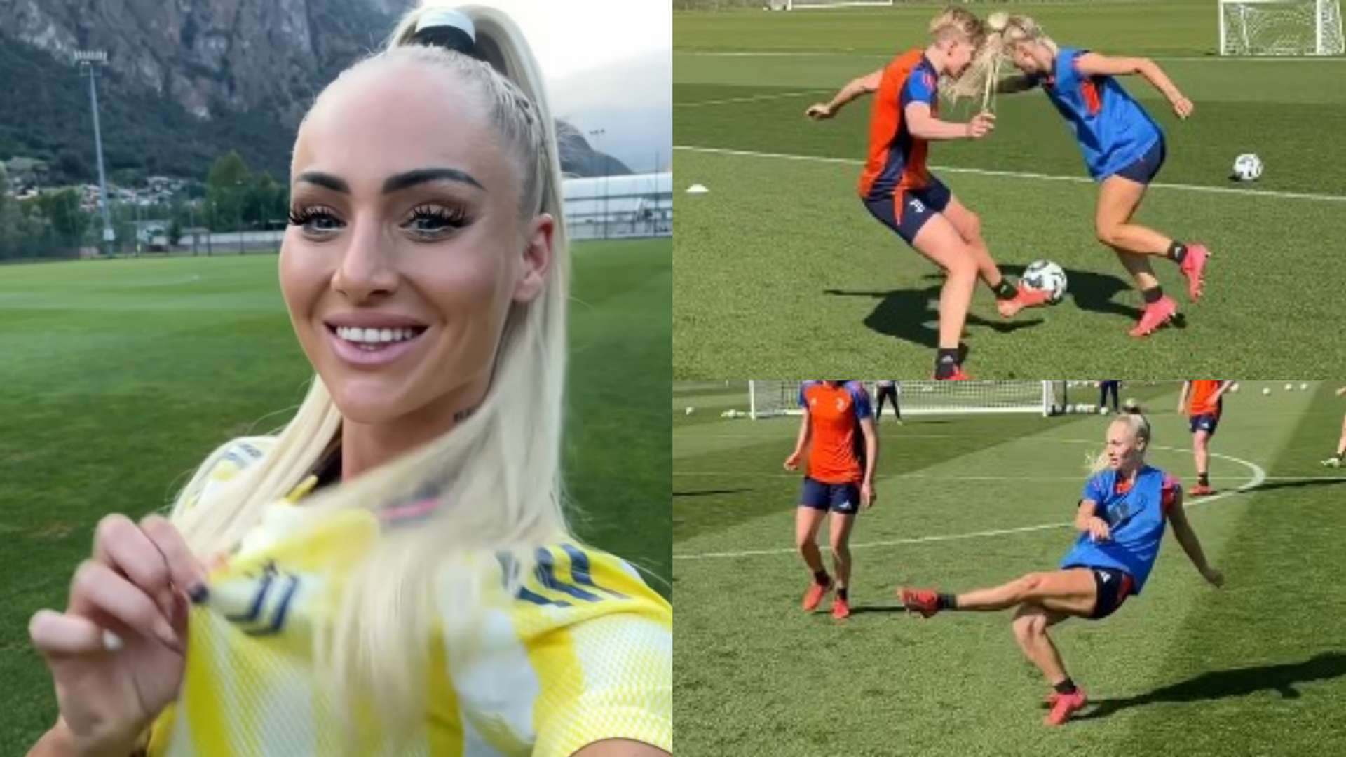 示了卓越的 示了卓越的