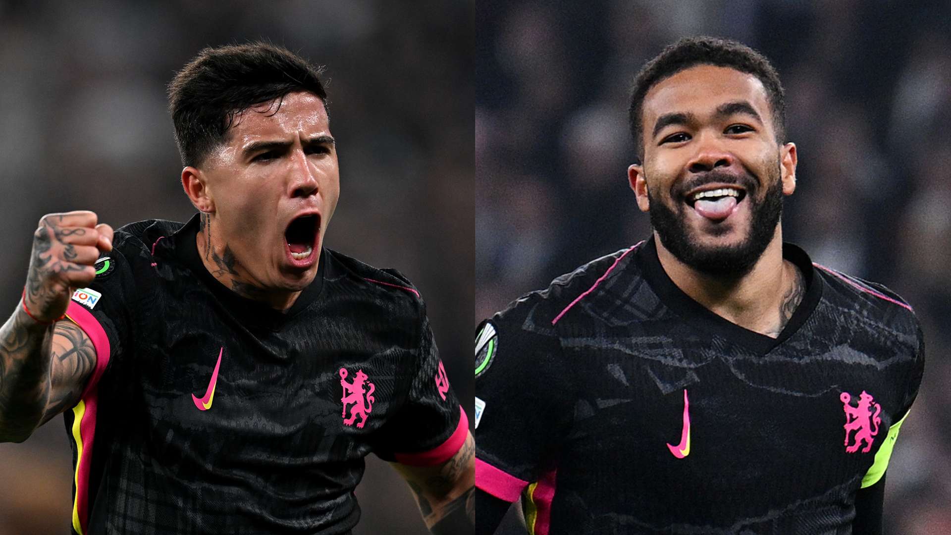 育转播合同 育转播合同